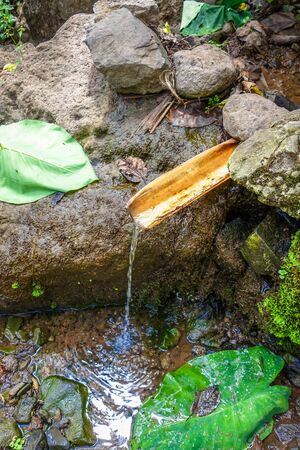 Natural bamboo fountain in Santo Antao, Cape Verde, Africaの写真素材