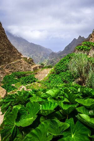 Paul Valley landscape in Santo Antao island, Cape Verde, Africaの写真素材