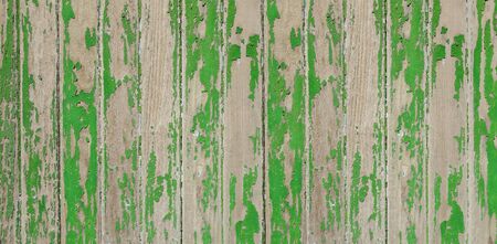 Old wood board painted green, banner background texture                               の写真素材