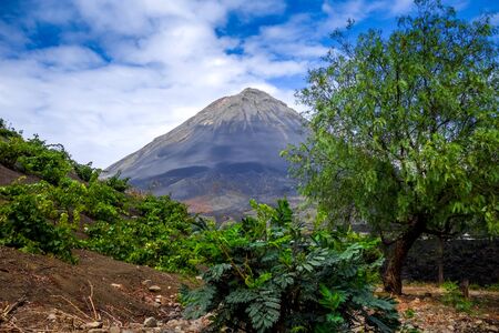 Pico do Fogo volcano in Cha das Caldeiras, Cape Verdeの写真素材