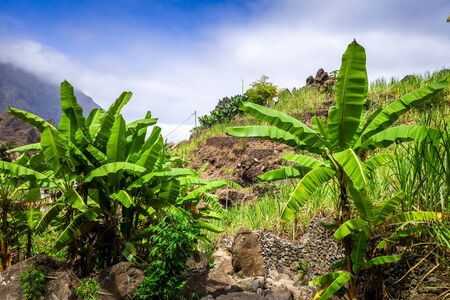Paul Valley landscape in Santo Antao island, Cape Verde, Africaの写真素材