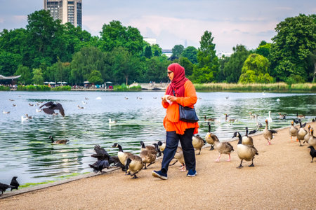 London/UK - June 3, 2017 - Woman feeding ducks in Hide parkのeditorial素材