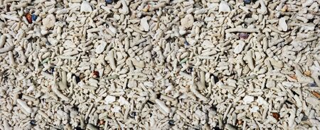 coral fragments texture. Banner background wallpaperの写真素材
