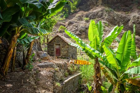 Traditional houses in Paul Valley, Santo Antao island, Cape Verde, Africaの写真素材