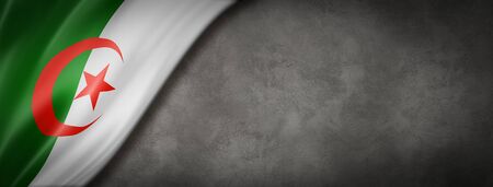Algeria flag on concrete wall. Horizontal panoramic banner. 3D illustrationの写真素材