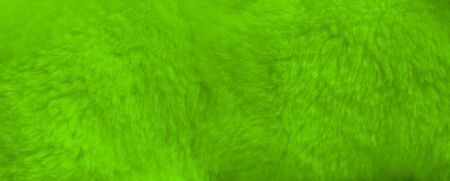 Green fur background close up view. Banner wallpaperの写真素材