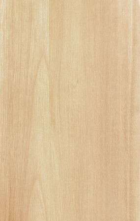 Clean light pine wood texture backgroundの写真素材