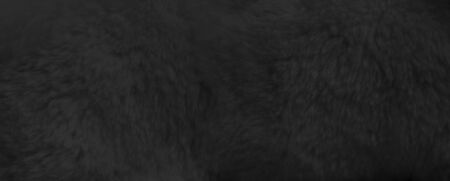 Black fur background close up view. Banner wallpaperの写真素材