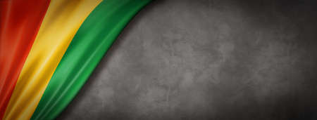Guinea flag on concrete wall. Horizontal panoramic banner. 3D illustrationの写真素材