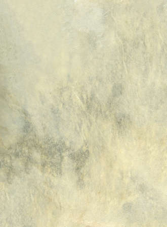 Beige leather drum skin background texture. Closeup viewの写真素材