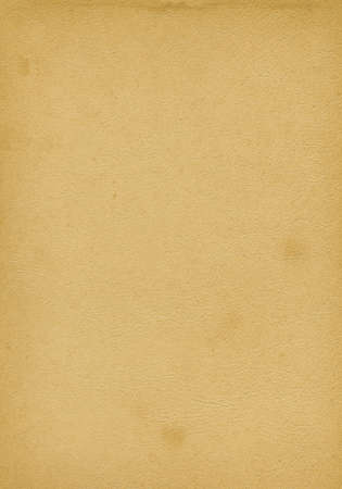Beige used leather texture background. Natural material pattern.の写真素材