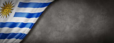 Uruguay flag on concrete wall. Horizontal panoramic banner. 3D illustrationの写真素材