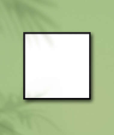 Black square picture frame hanging on a light green wall. Floral shadows. Blank mockup templateの写真素材