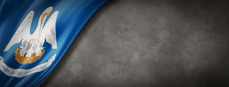 Louisiana flag on concrete wall banner, USA. 3D illustrationの写真素材