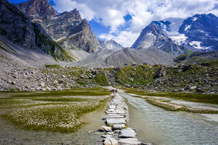 Cow lake, Lac des Vaches, in Vanoise national Park, Savoy, Franceのeditorial素材