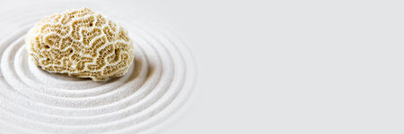 White coral in the sand. Zen japanese garden background scene. Horizontal banner