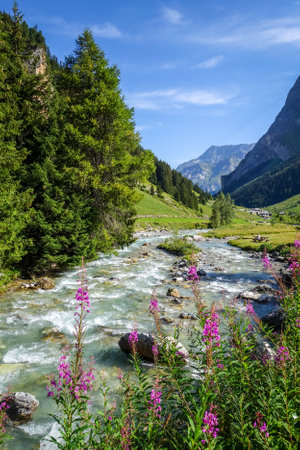 Doron river in Vanoise national Park alpine valley, Savoie, French alpsの写真素材