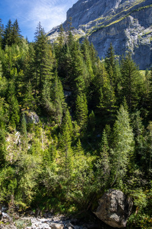 Mountain and forest landscape in Pralognan la Vanoise. French alpsの写真素材