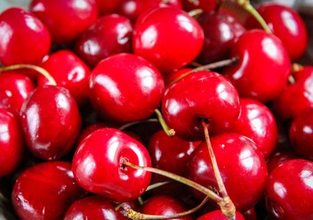 Bunch of organic fresh cherries. Background wallpaperの写真素材