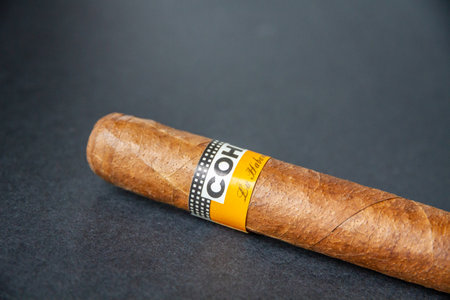Paris - France - March 23, 2021 : Brown Cohiba cuban cigar isolated on greyのeditorial素材