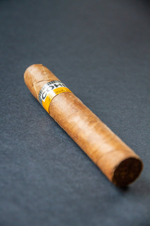 Paris - France - March 23, 2021 : Brown Cohiba cuban cigar isolated on greyのeditorial素材