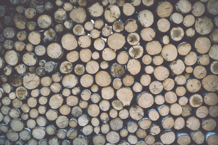 Stack of tree trunks. Texture background wallpaperの写真素材