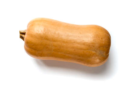 Fresh organic butternut squash isolated on white backgroundの写真素材