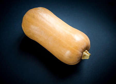 Fresh organic butternut squash isolated on black backgroundの写真素材
