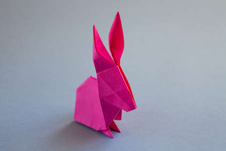 Pink paper rabbit origami isolated on a blank grey background.の写真素材