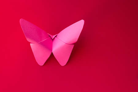Pink paper butterfly origami isolated on a blank red background.の写真素材