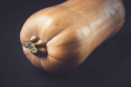 Fresh organic butternut squash isolated on black backgroundの写真素材