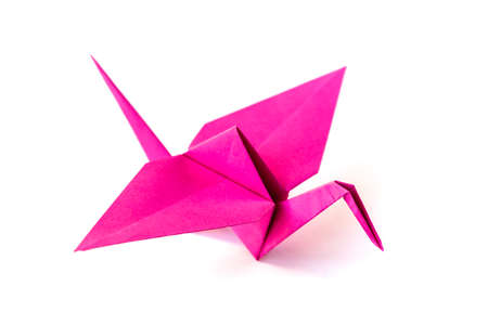 Pink paper crane origami isolated on a blank white background.の写真素材