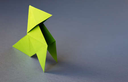 Green paper hen origami isolated on a blank grey background. Cocotte en papierの写真素材