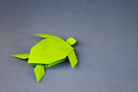 Green paper turtle origami isolated on a blank grey backgroundの写真素材