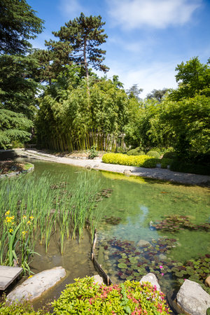 Pond in a traditional japanese garden. Zen backgroundの写真素材