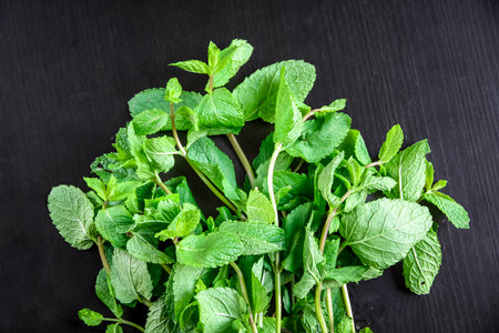 Bunch of fresh mint closeup view. Food backgroundの写真素材