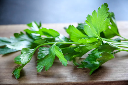Bunch of fresh parsley stem on a wooden cutting boardの写真素材