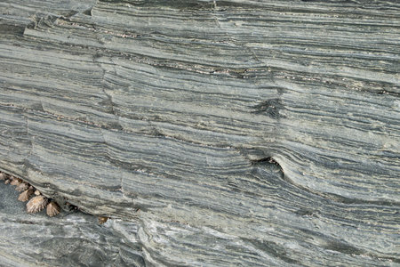 Slate and schist background texture. Closeup view