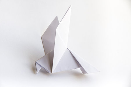 Paper dove origami isolated on a blank white background.の写真素材