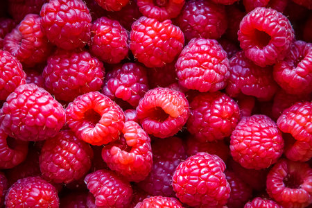 Fresh organic raspberries closeup view background. Wallpaperの写真素材