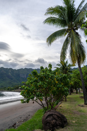 The black sand beach of Taiohae Bay in Nuku Hiva, Marquesas Islands, is framed by lush vegetation, coconut trees, and rugged green mountains under a cloudy sky. French Polynesiaの写真素材