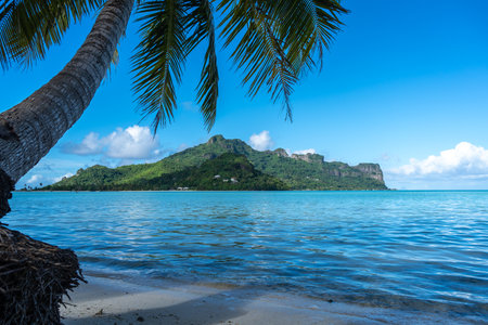 A stunning view of Maupiti Island from a pristine beach lined with palm trees, offering a glimpse of turquoise waters and lush greenery in French Polynesiaの写真素材
