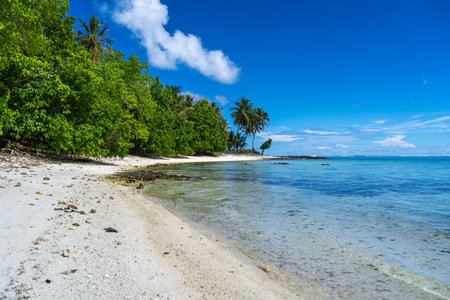 The breathtaking white sand beach of Motu Pitiahe in Maupiti, French Polynesia, is lined with lush...