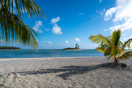 Two small motus surrounded by turquoise waters and white sand. Lush palm trees frame the idyllic...