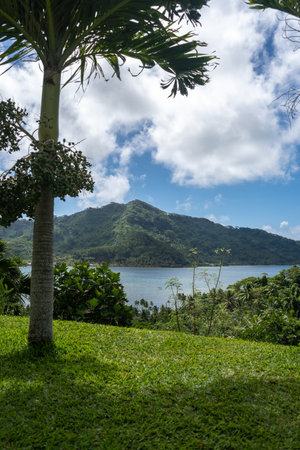 Lush vegetation, trees, and the serene Hurepiti Bay landscape on Tahaa Island, French Polynesia
