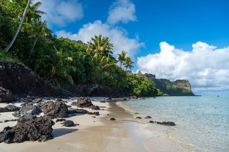 A pristine white sand beach on Maupiti island, French Polynesia, lined with lush coconut trees and facing a turquoise lagoon, creating a peaceful and tropical paradiseの写真素材