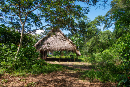 A traditional thatched hut in the Siona indigenous village, nestled in the Cuyabeno Reserve, Ecuadorâs Amazon rainforest, showcasing local construction techniquesの写真素材