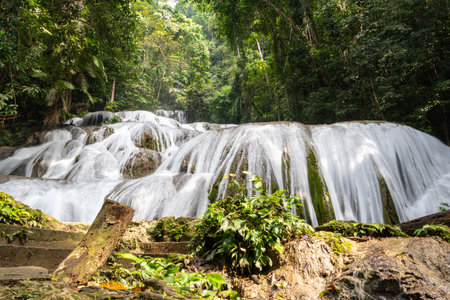 The Saluopa waterfall cascades down mossy rocks surrounded by lush tropical forest near Tentena, Sulawesi, Indonesia, creating a beautiful natural sceneの写真素材