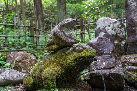 Stone frog fountain covered in moss, surrounded by forest on the peaceful Higashiyama Walking Course...
