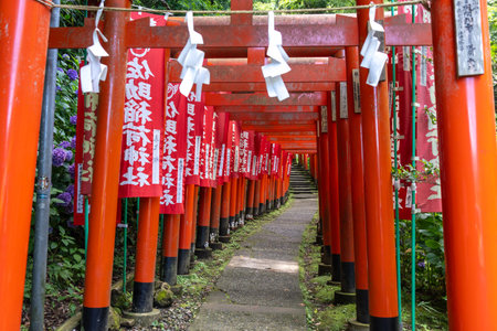 Red torii gates and fluttering banners line a peaceful path through the forest at Sasuke Inari-jinja...